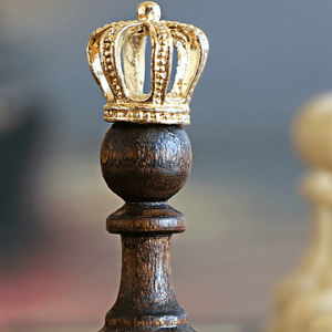 Criando uma Marca de Sucesso